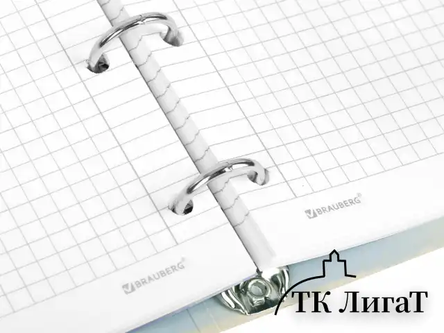 Тетрадь на кольцах А5 160х212 мм, 120 листов, картон, матовая ламинация, клетка, BRAUBERG, "В горах", 404724