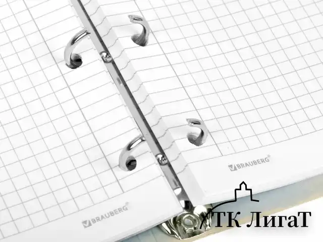 Тетрадь на кольцах А5 160х212 мм, 120 листов, картон, матовая ламинация, клетка, BRAUBERG, "В горах", 404724