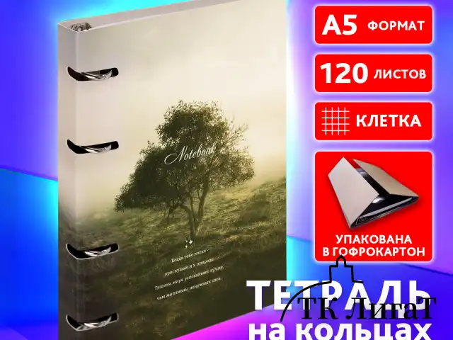 Тетрадь на кольцах А5 160х212 мм, 120 листов, картон, матовая ламинация, клетка, BRAUBERG, "Nature", 404728