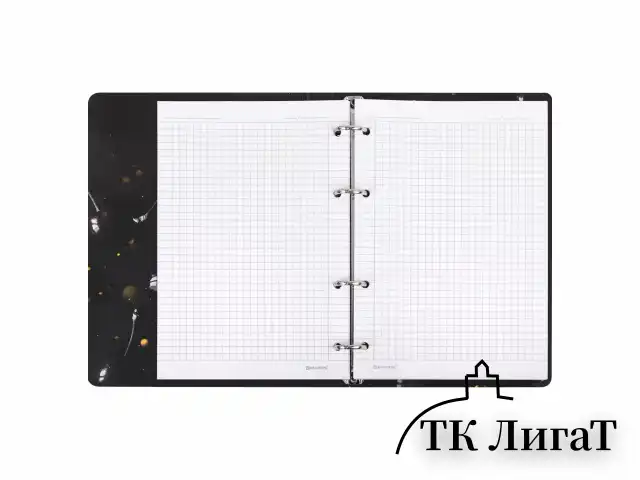Тетрадь на кольцах А5 160х212 мм, 120 листов, картон, фольга, клетка, BRAUBERG, "Black&Gold", 404735