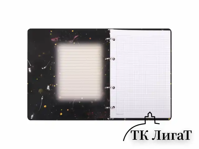 Тетрадь на кольцах А5 160х212 мм, 120 листов, картон, фольга, клетка, BRAUBERG, "Black&Gold", 404735