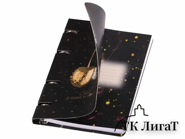 Тетрадь на кольцах А5 160х212 мм, 120 листов, картон, фольга, клетка, BRAUBERG, "Black&Gold", 404735