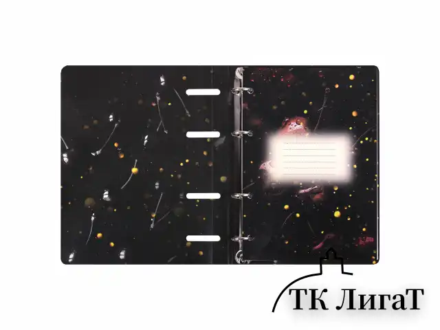 Тетрадь на кольцах А5 160х212 мм, 120 листов, картон, фольга, клетка, BRAUBERG, "Black&Gold", 404735