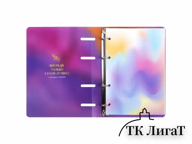 Тетрадь на кольцах А5 160х212 мм, 120 листов, картон, фольга, клетка, BRAUBERG, "Liquid art", 404738