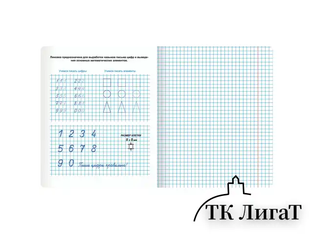 Тетрадь ПРОПИСЬ № 6 12 л. клетка, со справочным материалом, обложка картон, ЮНЛАНДИЯ, 404849