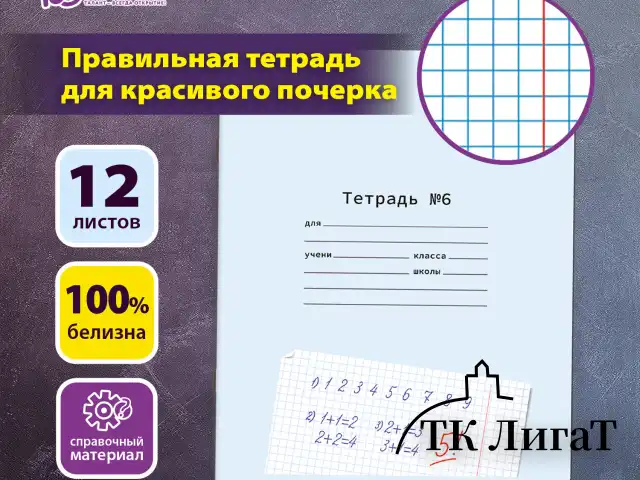 Тетрадь ПРОПИСЬ № 6 12 л. клетка, со справочным материалом, обложка картон, ЮНЛАНДИЯ, 404849