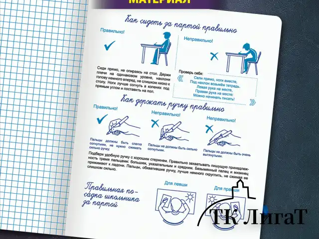 Тетрадь ПРОПИСЬ № 6 12 л. клетка, со справочным материалом, обложка картон, ЮНЛАНДИЯ, 404849