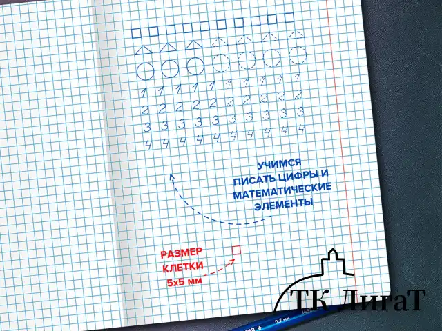 Тетрадь ПРОПИСЬ № 6 12 л. клетка, со справочным материалом, обложка картон, ЮНЛАНДИЯ, 404849