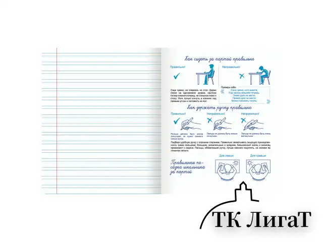 Тетрадь ПРОПИСЬ № 5 12 л. узкая линия, со справочным материалом, обложка картон, ЮНЛАНДИЯ, 404850