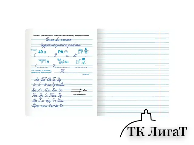 Тетрадь ПРОПИСЬ № 5 12 л. узкая линия, со справочным материалом, обложка картон, ЮНЛАНДИЯ, 404850