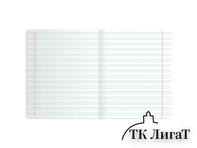 Тетрадь ПРОПИСЬ № 5 12 л. узкая линия, со справочным материалом, обложка картон, ЮНЛАНДИЯ, 404850