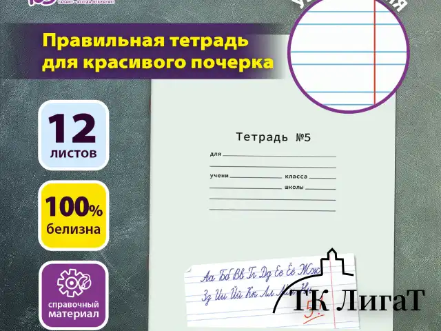 Тетрадь ПРОПИСЬ № 5 12 л. узкая линия, со справочным материалом, обложка картон, ЮНЛАНДИЯ, 404850