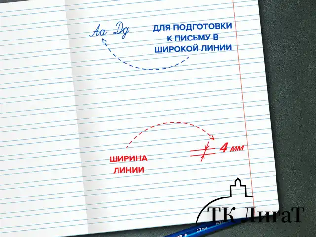 Тетрадь ПРОПИСЬ № 5 12 л. узкая линия, со справочным материалом, обложка картон, ЮНЛАНДИЯ, 404850