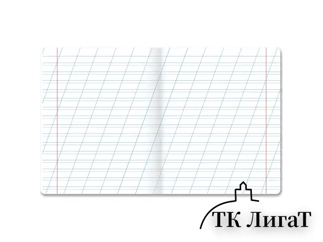Тетрадь ПРОПИСЬ № 4 12 л. косая линия, со справочным материалом, обложка картон, ЮНЛАНДИЯ, 404851