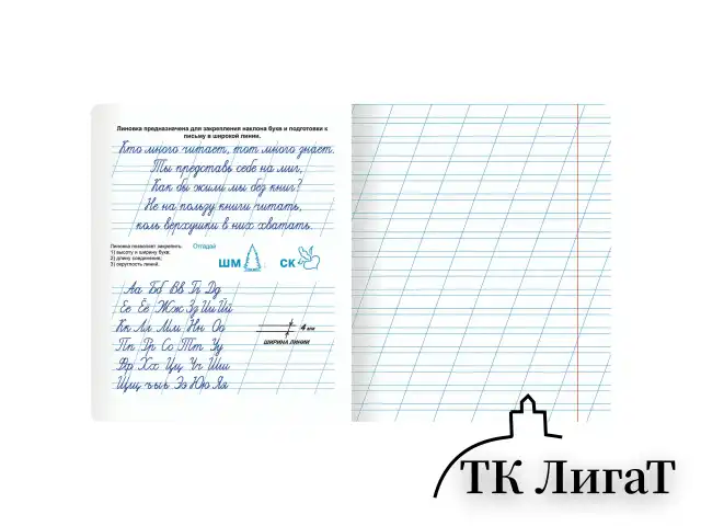 Тетрадь ПРОПИСЬ № 4 12 л. косая линия, со справочным материалом, обложка картон, ЮНЛАНДИЯ, 404851
