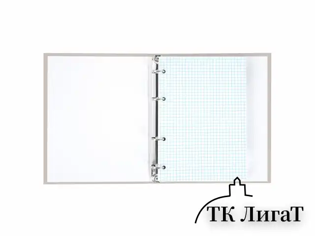 Тетрадь на кольцах А5 175х215 мм, 120 л., твердый картон, матовая ламинация, клетка, BRAUBERG "Minimal beige", 404997