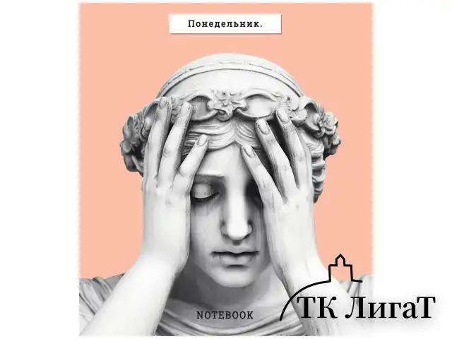 Тетрадь А5 48 л., ПЗБМ, скоба, клетка, Soft Touch, "Ой, девочки" (5 видов), 24147