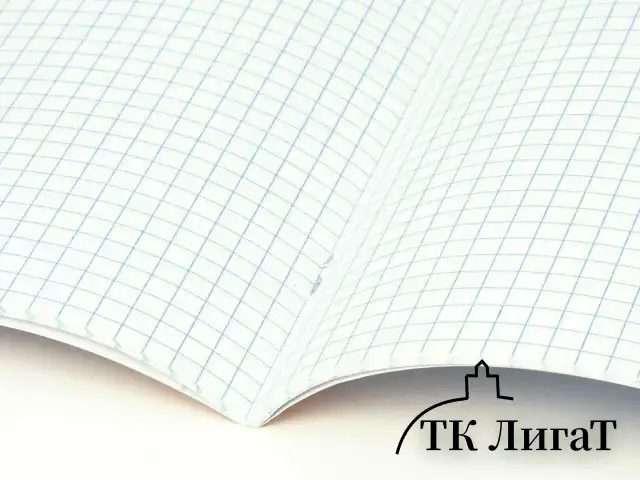 Тетрадь предметная "КОЛОР" 36 л., обложка мелованная бумага, ИНФОРМАТИКА, клетка, BRAUBERG, 405075