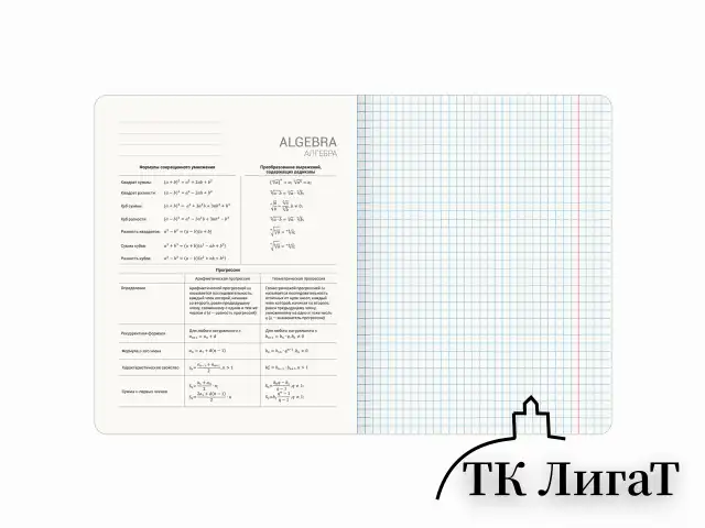 Тетрадь предметная КЛАССИКА ПРИРОДА 48 л., обложка картон, АЛГЕБРА, клетка, подсказ, BRAUBERG, 405082