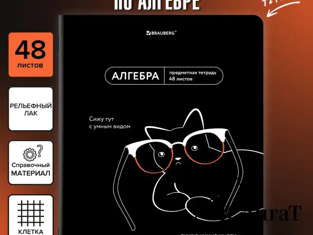 Тетрадь предметная МЕМЫ 48 л., TWIN-лак, АЛГЕБРА, клетка, подсказ, BRAUBERG, 405096