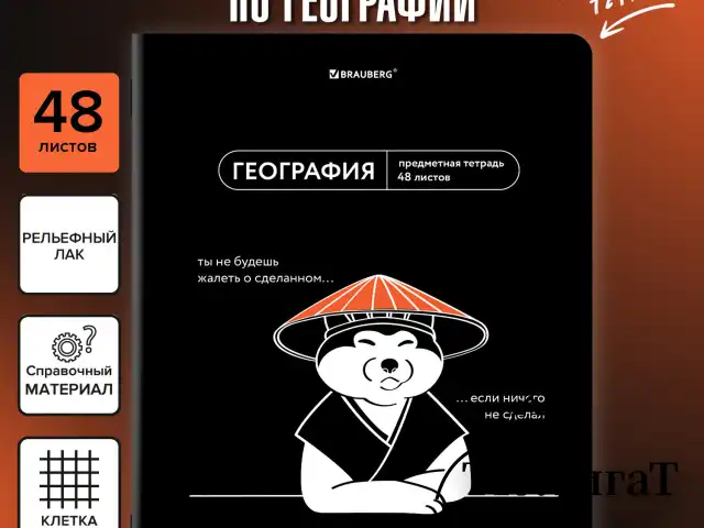 Тетрадь предметная МЕМЫ 48 л., TWIN-лак, ГЕОГРАФИЯ, клетка, подсказ, BRAUBERG, 405100
