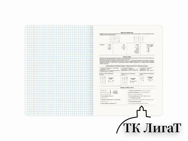 Тетрадь предметная МЕМЫ 48 л., TWIN-лак, ИНФОРМАТИКА, клетка, подсказ, BRAUBERG, 405102