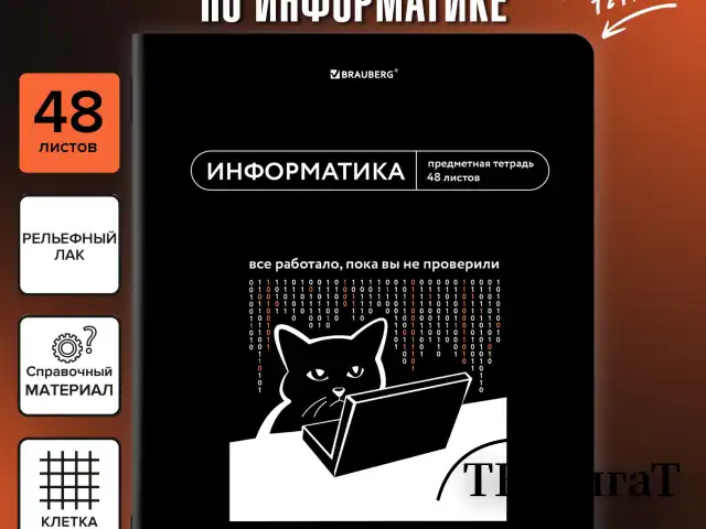 Тетрадь предметная МЕМЫ 48 л., TWIN-лак, ИНФОРМАТИКА, клетка, подсказ, BRAUBERG, 405102