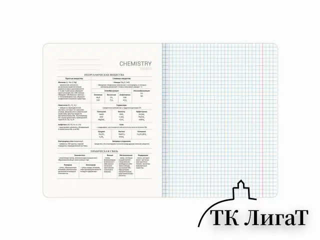 Тетрадь предметная МЕМЫ 48 л., TWIN-лак, ХИМИЯ, клетка, подсказ, BRAUBERG, 405107