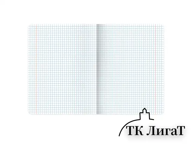 Тетрадь предметная ДАТЫ 48 л., TWIN-лак, ОБЩЕСТВОЗНАНИЕ, клетка, подсказ, BRAUBERG, 405123