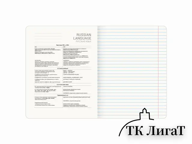 Тетрадь предметная ДАТЫ 48 л., TWIN лак, РУССКИЙ ЯЗЫК, линия, подсказ, BRAUBERG, 405131