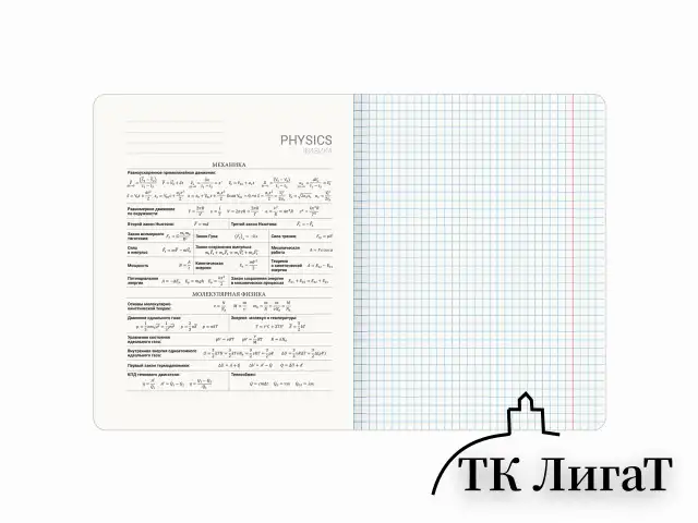 Тетрадь предметная ДАТЫ 48 л., TWIN-лак, ФИЗИКА, клетка, подсказ, BRAUBERG, 405132
