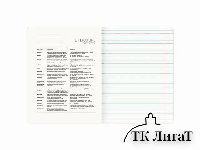 Тетрадь предметная CLASSIC 48 л., рельефный картон, матовая ламинация, ЛИТЕРАТУРА, линия, подсказ, BRAUBERG, 405143