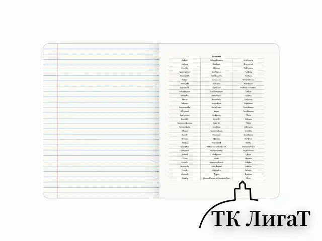 Тетрадь предметная CLASSIC 48 л., рельефный картон, матовая ламинация, РУССКИЙ ЯЗЫК, линия, подсказ, BRAUBERG, 405144