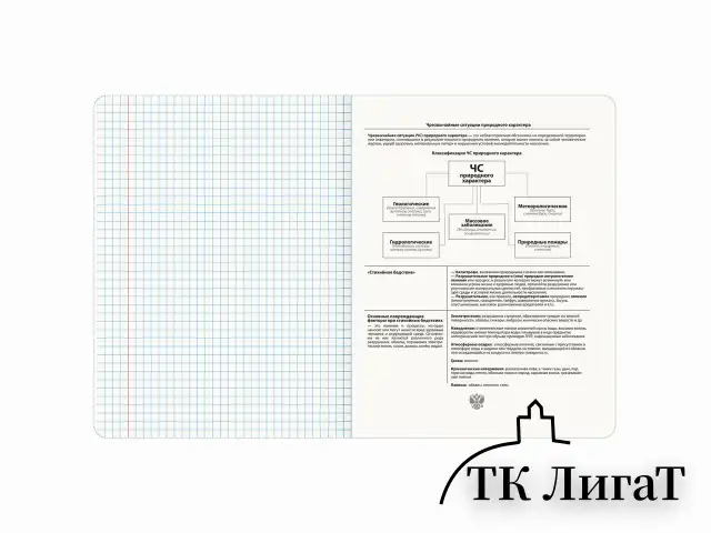 Тетрадь предметная CLASSIC 48 л., рельефный картон, матовая ламинация, ОБиЗР, клетка, подсказ, BRAUBERG, 405147