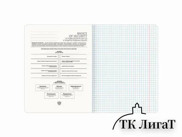 Тетрадь предметная CLASSIC 48 л., рельефный картон, матовая ламинация, ОБиЗР, клетка, подсказ, BRAUBERG, 405147