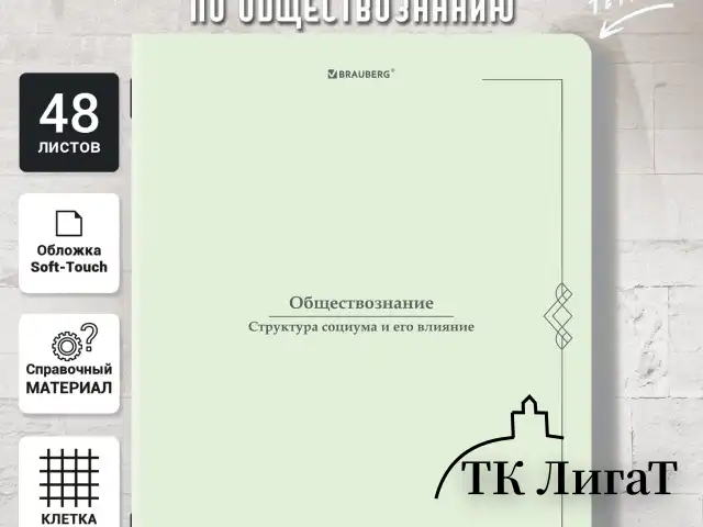 Тетрадь предметная VINTAGE 48 л., SoftTouch, ОБЩЕСТВОЗНАНИЕ, клетка, подсказ, BRAUBERG, 405149