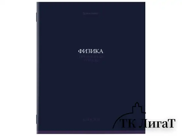 Тетради предметные, КОМПЛЕКТ 13 ПРЕДМЕТОВ, 36 л., обложка мелованная бумага, BRAUBERG, "КОЛОР", 405161