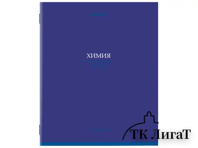 Тетради предметные, КОМПЛЕКТ 13 ПРЕДМЕТОВ, 36 л., обложка мелованная бумага, BRAUBERG, "КОЛОР", 405161