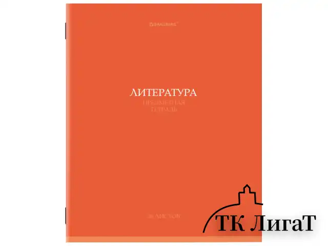 Тетради предметные, КОМПЛЕКТ 13 ПРЕДМЕТОВ, 36 л., обложка мелованная бумага, BRAUBERG, "КОЛОР", 405161