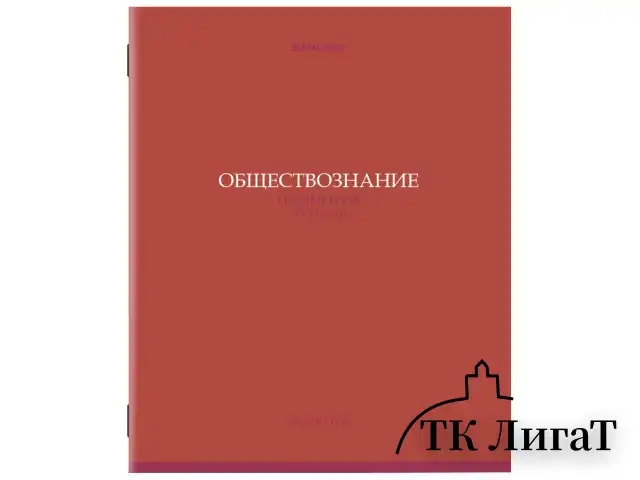 Тетради предметные, КОМПЛЕКТ 13 ПРЕДМЕТОВ, 36 л., обложка мелованная бумага, BRAUBERG, "КОЛОР", 405161