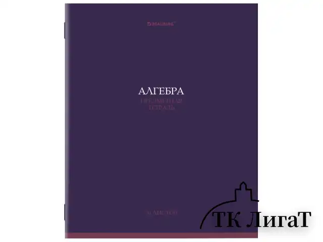 Тетради предметные, КОМПЛЕКТ 13 ПРЕДМЕТОВ, 36 л., обложка мелованная бумага, BRAUBERG, "КОЛОР", 405161