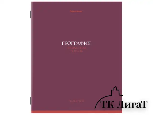 Тетради предметные, КОМПЛЕКТ 13 ПРЕДМЕТОВ, 36 л., обложка мелованная бумага, BRAUBERG, "КОЛОР", 405161