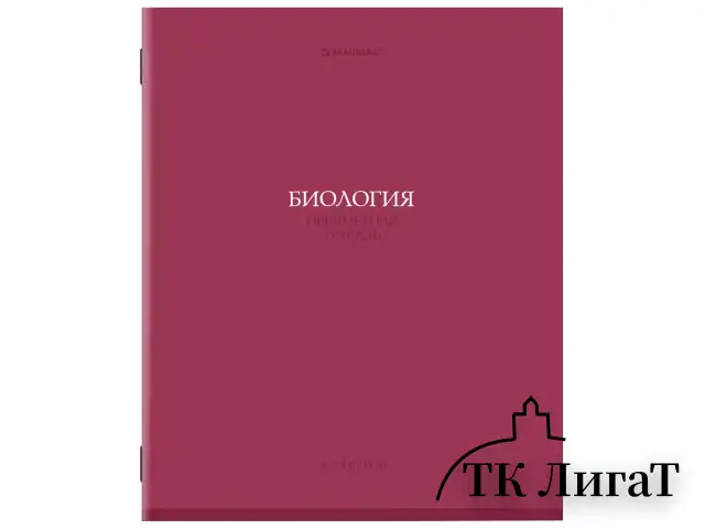Тетради предметные, КОМПЛЕКТ 13 ПРЕДМЕТОВ, 36 л., обложка мелованная бумага, BRAUBERG, "КОЛОР", 405161