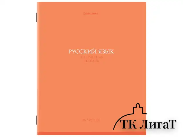 Тетради предметные, КОМПЛЕКТ 13 ПРЕДМЕТОВ, 36 л., обложка мелованная бумага, BRAUBERG, "КОЛОР", 405161