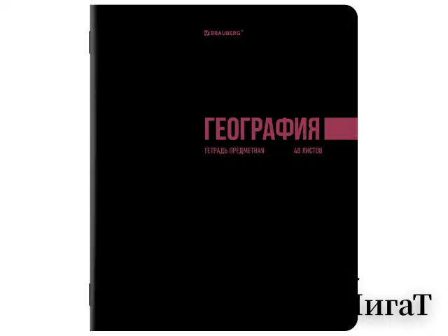 Тетради предметные, КОМПЛЕКТ 12 ПРЕДМЕТОВ, 48 л., обложка картон, BRAUBERG "КЛАССИКА BLACK", 405162