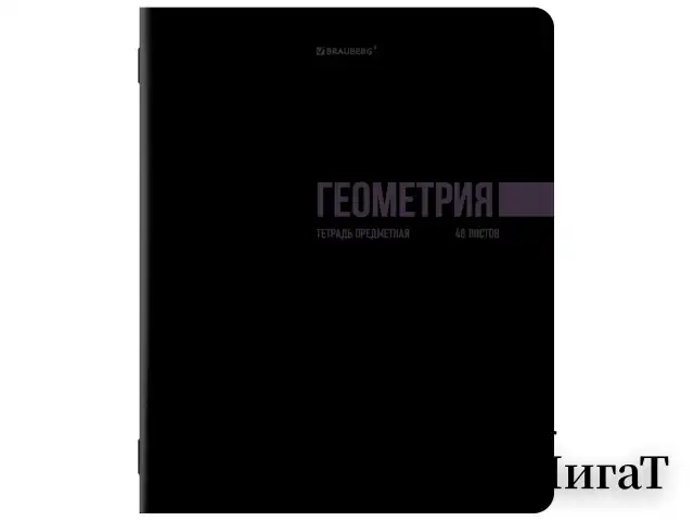 Тетради предметные, КОМПЛЕКТ 12 ПРЕДМЕТОВ, 48 л., обложка картон, BRAUBERG "КЛАССИКА BLACK", 405162