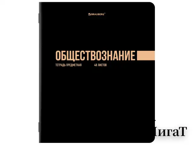 Тетради предметные, КОМПЛЕКТ 12 ПРЕДМЕТОВ, 48 л., обложка картон, BRAUBERG "КЛАССИКА BLACK", 405162