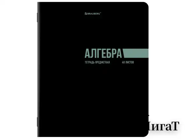 Тетради предметные, КОМПЛЕКТ 12 ПРЕДМЕТОВ, 48 л., обложка картон, BRAUBERG "КЛАССИКА BLACK", 405162