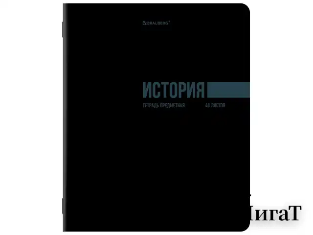 Тетради предметные, КОМПЛЕКТ 12 ПРЕДМЕТОВ, 48 л., обложка картон, BRAUBERG "КЛАССИКА BLACK", 405162