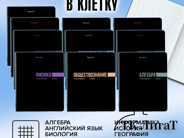 Тетради предметные, КОМПЛЕКТ 12 ПРЕДМЕТОВ, 48 л., обложка картон, BRAUBERG "КЛАССИКА BLACK", 405162